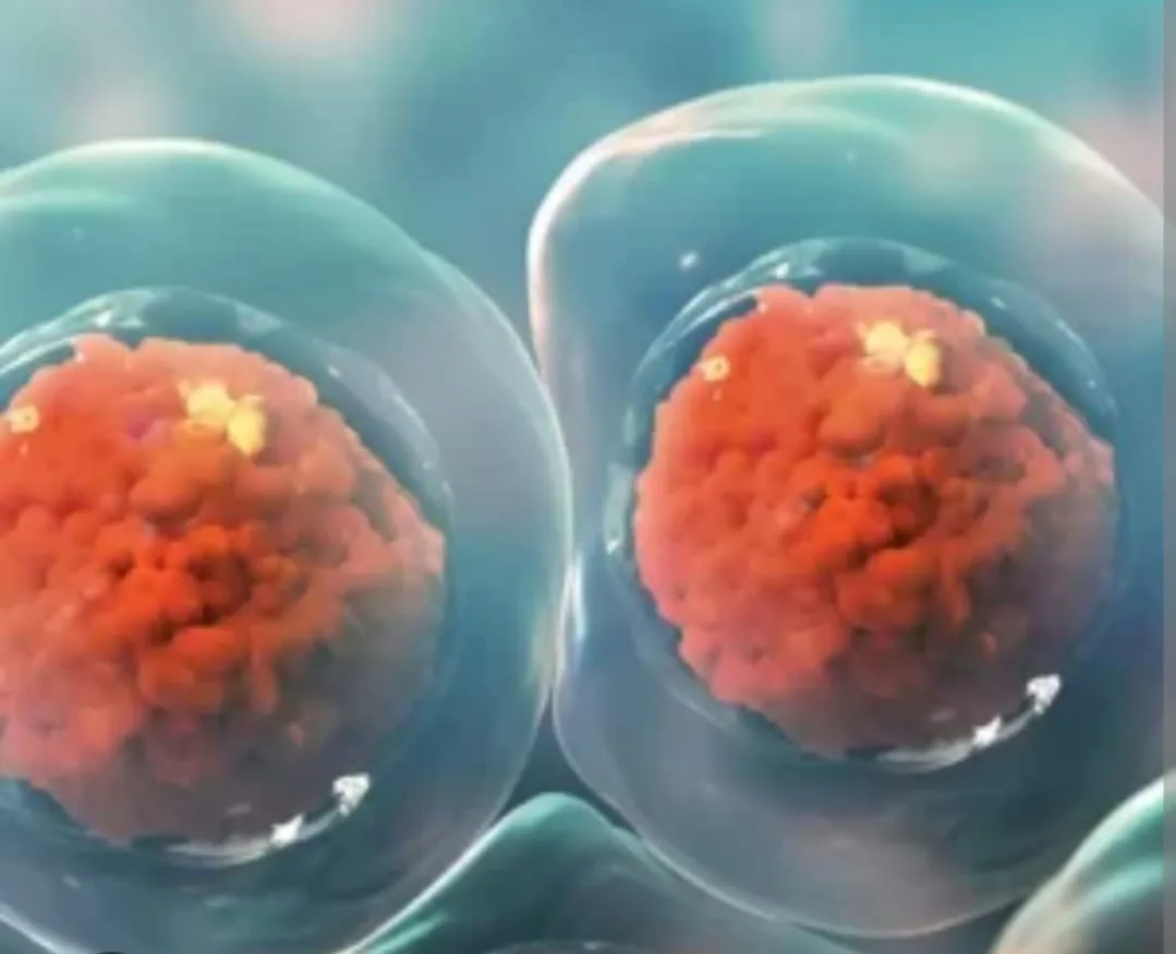 Rigenerazione Cellulare Attiva