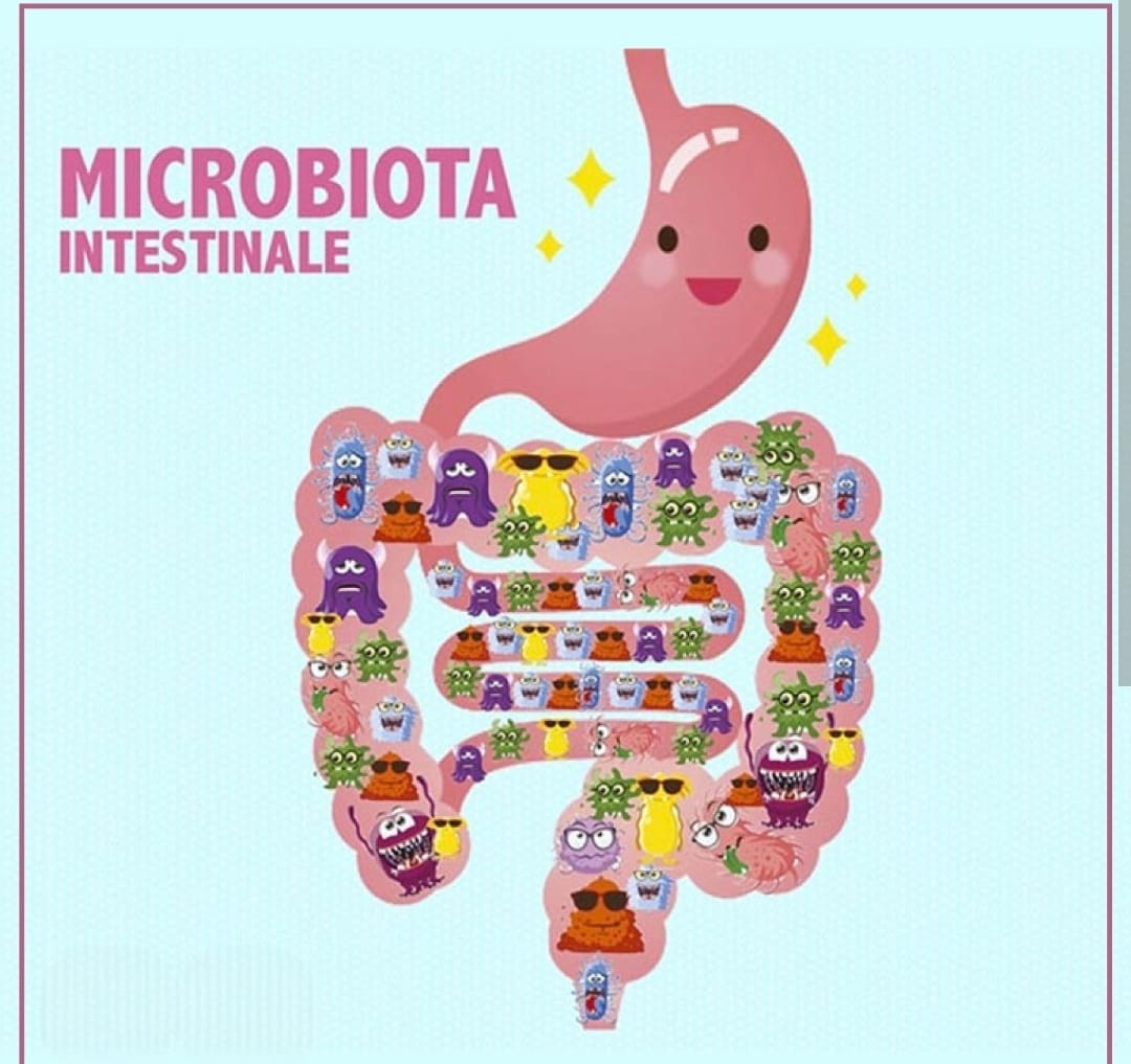 Confronto tra mucosa intestinale sana e intestino permeabile con tight junctions integre e danneggiate