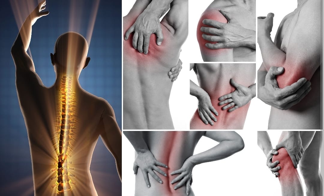 Trattamento osteopatico presso Biotech Balance