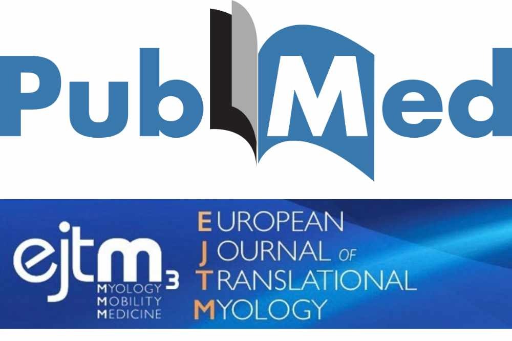 Journal of Sports Medicine