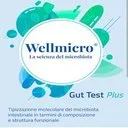Wellmicro Logo
